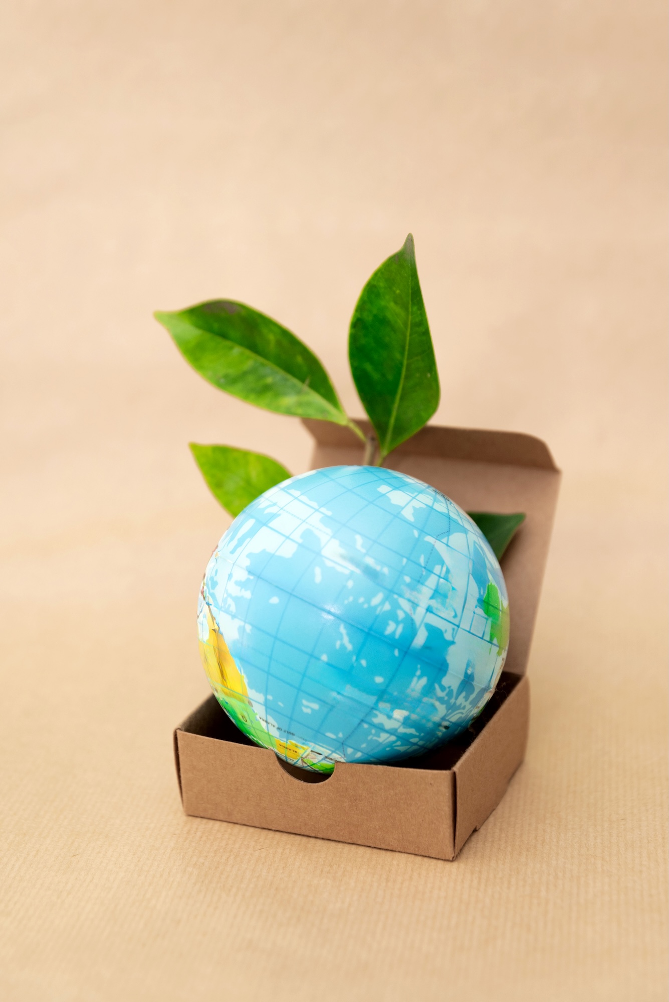 Earth Globe in Cardboard Box with Green Leaves on Beige Background